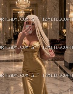 Dilovası Escort Kapısı