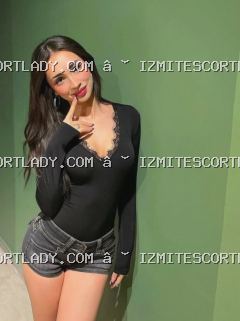 Gebze Escort Kapısı