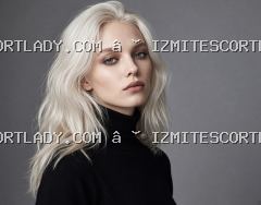 Gebze escort bayan satırında vardiya yazılmamışsa